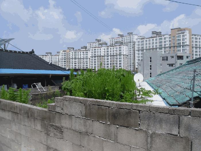 광주광역시 남구 임암동 197 주택 경매 사진 3