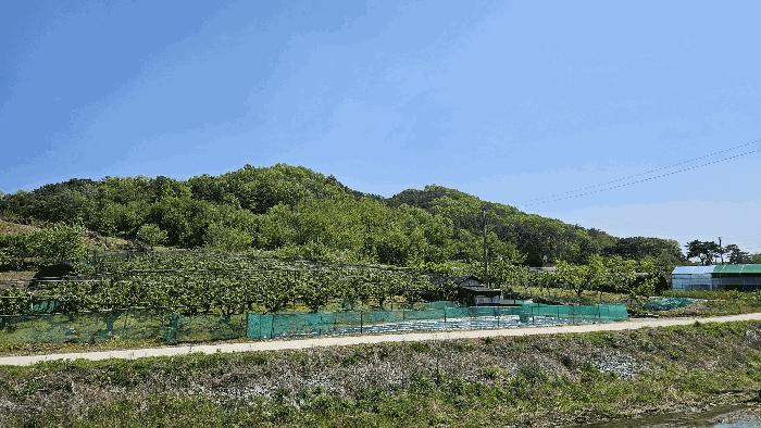 세종특별자치시 연동면 문주리 74-2 임야 경매 사진 9