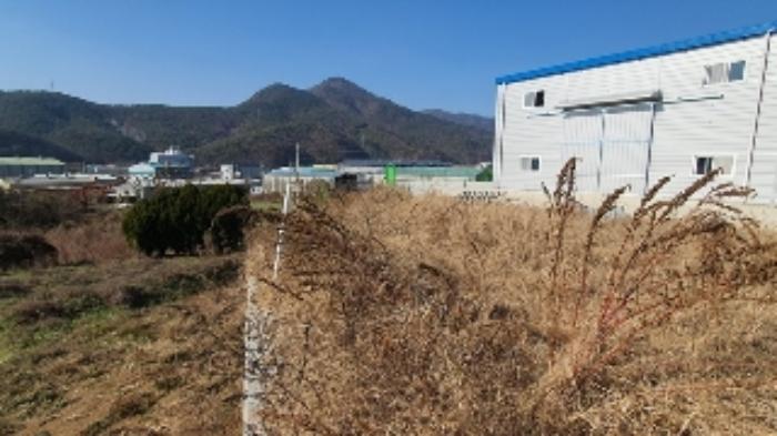 경상남도 창원시 마산합포구 진북면 망곡리 535 답 경매 사진 5