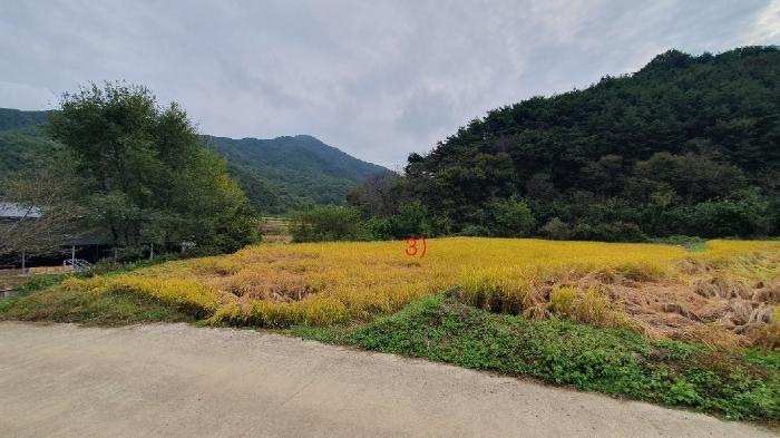 경상남도 의령군 대의면 중촌리 523 주택 경매 사진 3