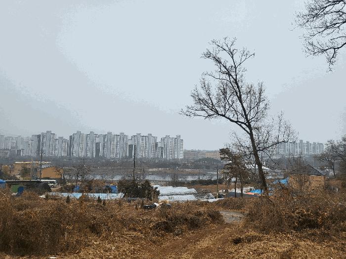 인천광역시 서구 시천동 86-150 임야 경매 사진 4