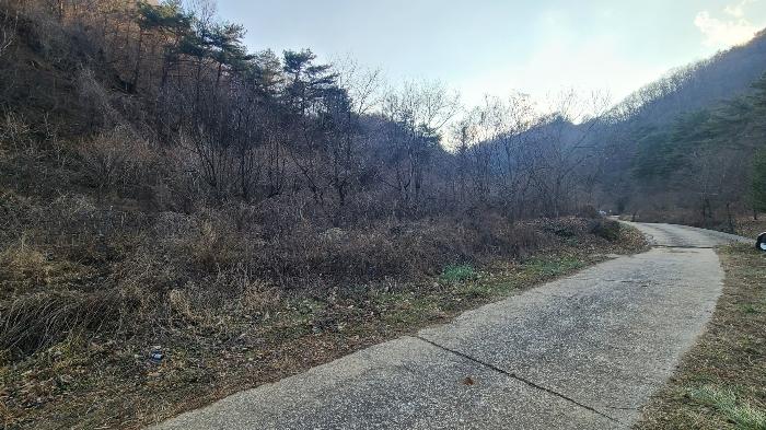 강원특별자치도 삼척시 마평동 49 전 경매 사진 7