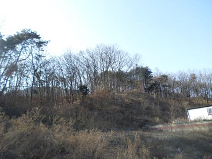 강원도 원주시 문막읍 건등리 197-2 전 경매 사진 20