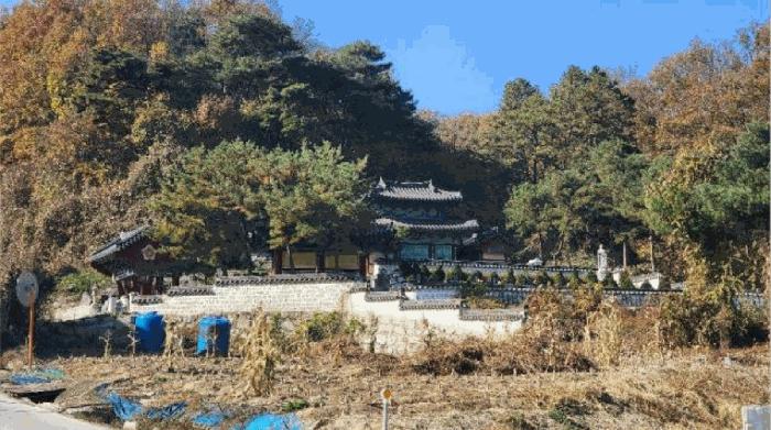 강원 원주시 임야