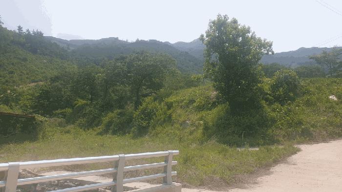 전북특별자치도 완주군 동상면 신월리 850 전 경매 사진 1