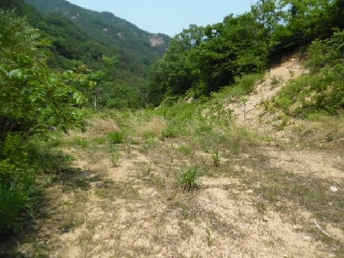 전북특별자치도 완주군 동상면 신월리 850 전 경매 사진 21
