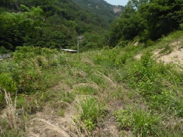 전북특별자치도 완주군 동상면 신월리 850 전 경매 사진 22