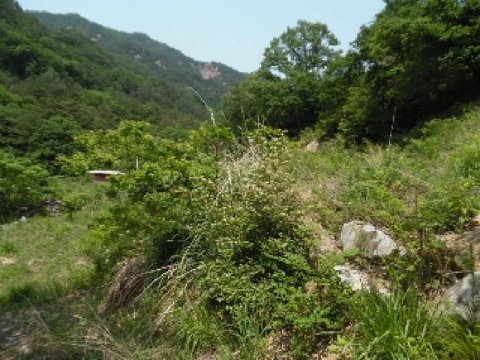 전북특별자치도 완주군 동상면 신월리 850 전 경매 사진 23