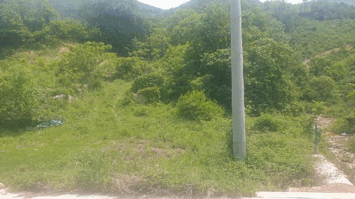 전북특별자치도 완주군 동상면 신월리 850 전 경매 사진 3