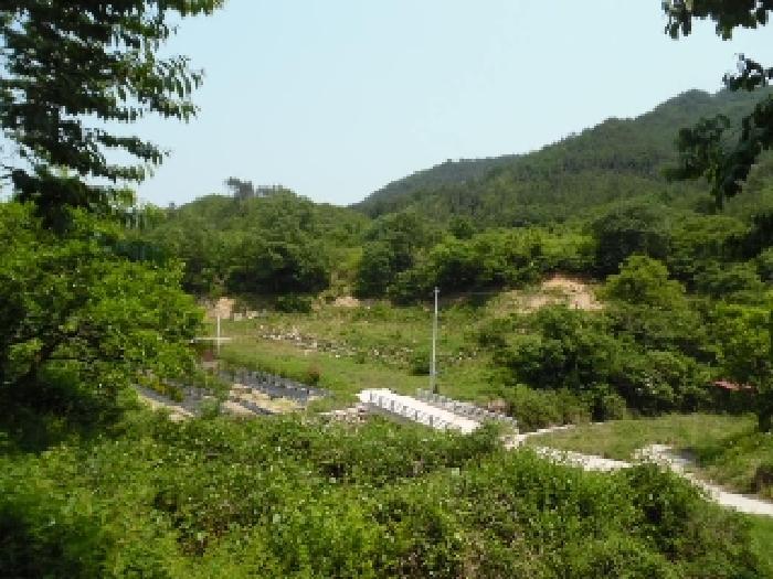 전북특별자치도 완주군 동상면 신월리 850 전 경매 사진 6