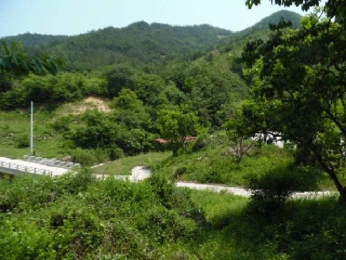 전북특별자치도 완주군 동상면 신월리 850 전 경매 사진 7