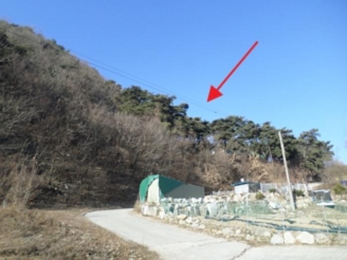 강원 원주시 임야