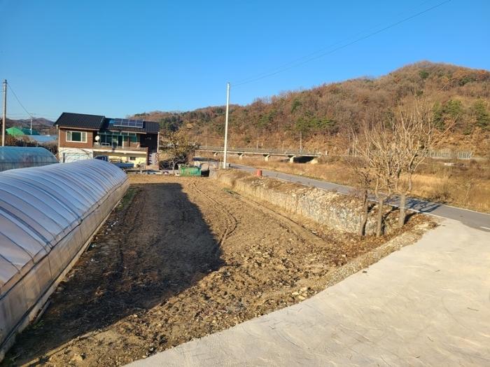 강원특별자치도 횡성군 횡성읍 추동리 48-3 전 경매 사진 6