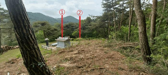 전북특별자치도 김제시 금산면 청도리 산351 임야 경매 사진 12