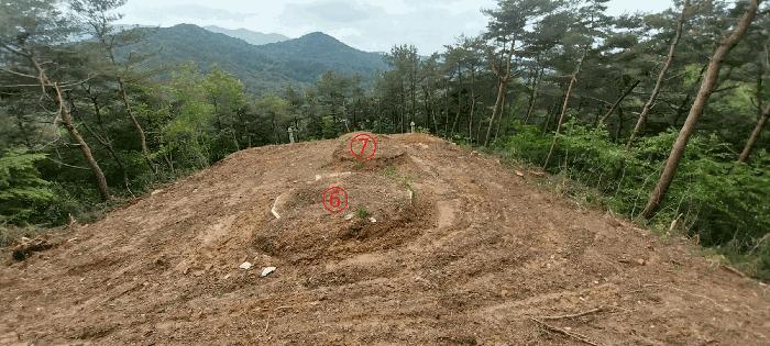 전북특별자치도 김제시 금산면 청도리 산351 임야 경매 사진 14