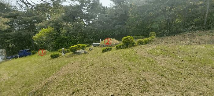 전북특별자치도 김제시 금산면 청도리 산351 임야 경매 사진 19