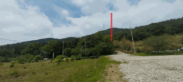 전북특별자치도 김제시 금산면 청도리 산351 임야 경매 사진 2