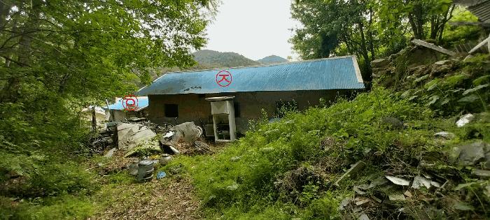 전북특별자치도 김제시 금산면 청도리 산351 임야 경매 사진 20