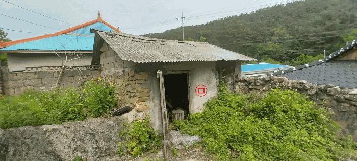 전북특별자치도 김제시 금산면 청도리 산351 임야 경매 사진 21