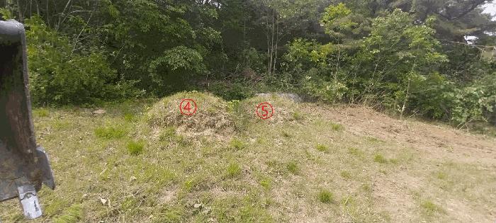 전북특별자치도 김제시 금산면 청도리 산351 임야 경매 사진 29