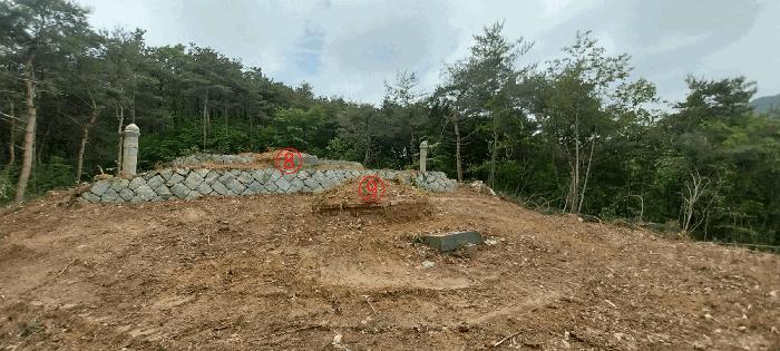 전북특별자치도 김제시 금산면 청도리 산351 임야 경매 사진 30