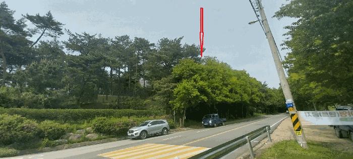 전북특별자치도 김제시 금산면 청도리 산351 임야 경매 사진 37