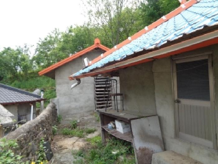 전북특별자치도 김제시 금산면 청도리 산351 임야 경매 사진 43