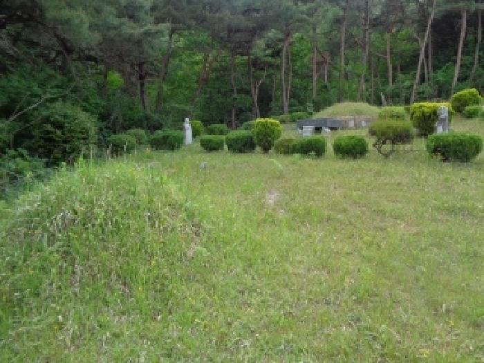 전북특별자치도 김제시 금산면 청도리 산351 임야 경매 사진 45