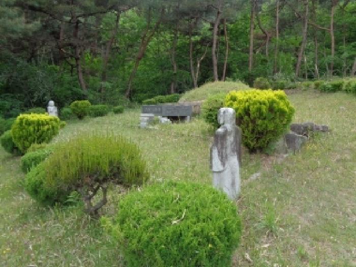 전북특별자치도 김제시 금산면 청도리 산351 임야 경매 사진 46