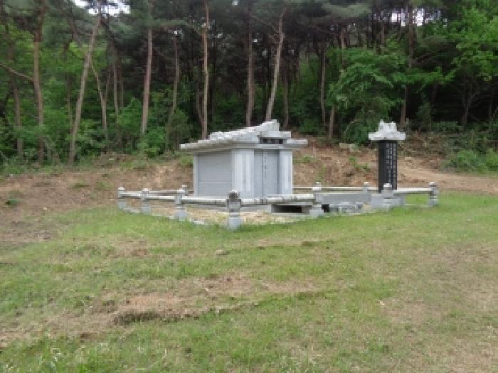 전북특별자치도 김제시 금산면 청도리 산351 임야 경매 사진 47