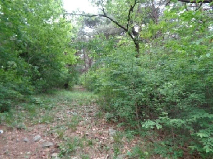 전북특별자치도 김제시 금산면 청도리 산351 임야 경매 사진 57