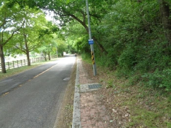 전북특별자치도 김제시 금산면 청도리 산351 임야 경매 사진 58