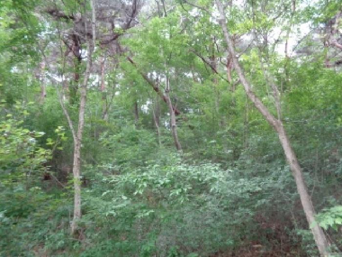 전북특별자치도 김제시 금산면 청도리 산351 임야 경매 사진 60