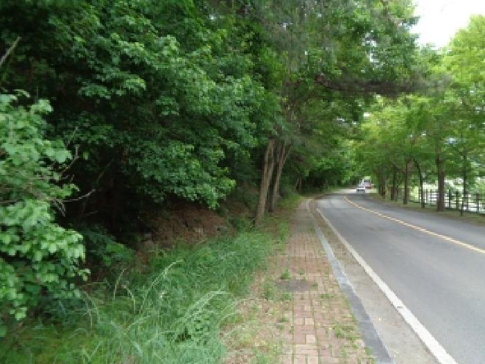 전북특별자치도 김제시 금산면 청도리 산351 임야 경매 사진 61