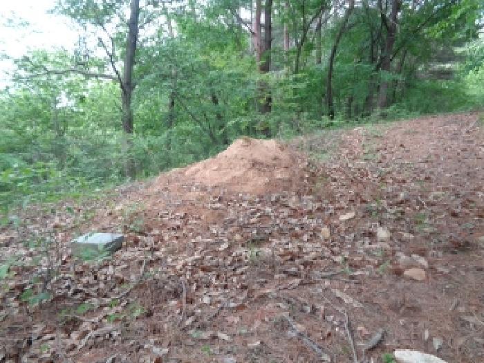 전북특별자치도 김제시 금산면 청도리 산351 임야 경매 사진 64