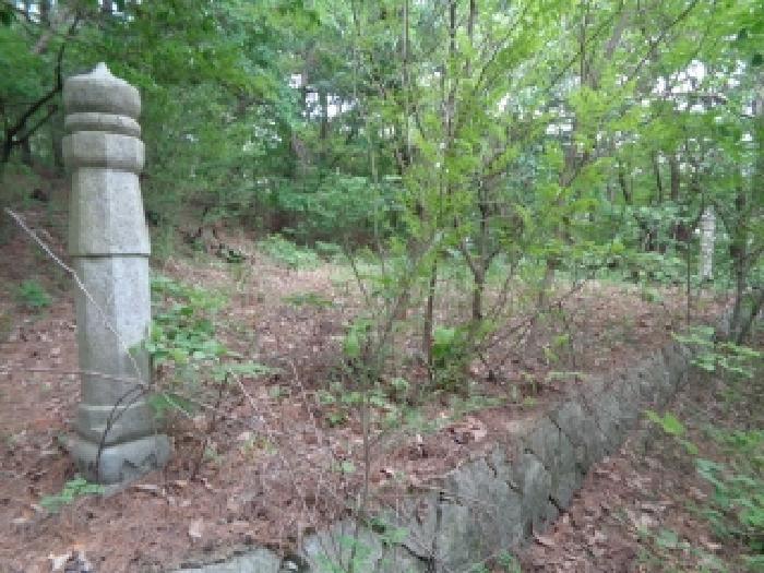 전북특별자치도 김제시 금산면 청도리 산351 임야 경매 사진 67