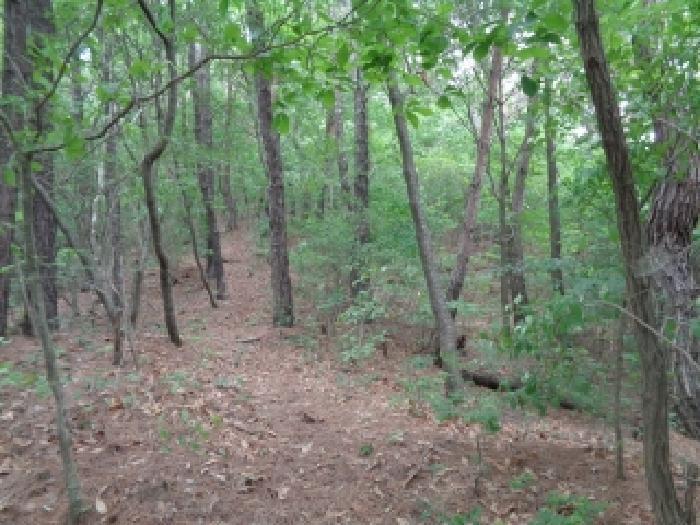 전북특별자치도 김제시 금산면 청도리 산351 임야 경매 사진 69