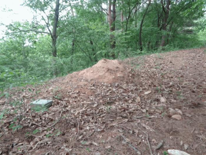 전북특별자치도 김제시 금산면 청도리 산351 임야 경매 사진 8