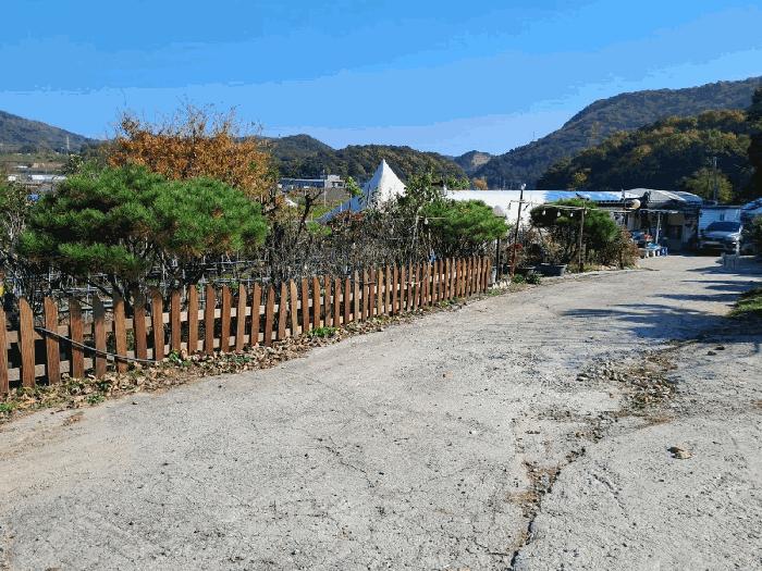 세종 금남면 전