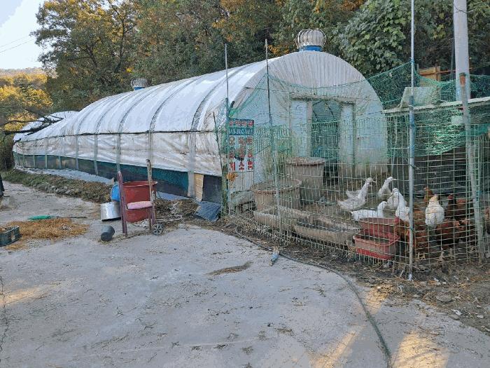 세종특별자치시 금남면 봉암리 53-2 전 경매 사진 4