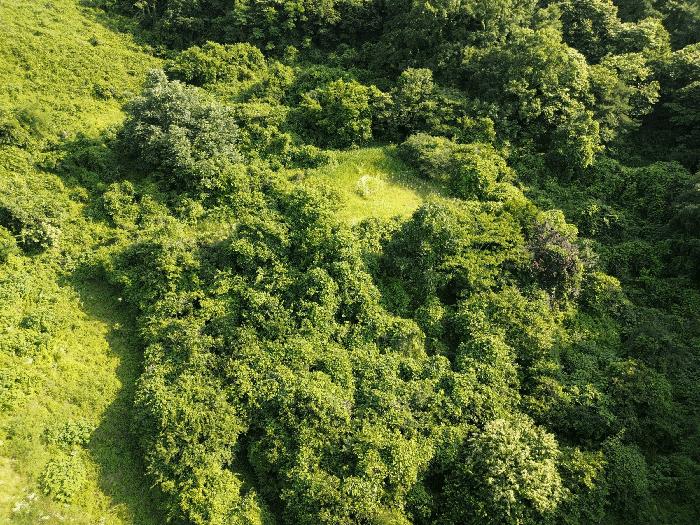 전라남도 함평군 나산면 수상리 273-1 전 경매 사진 7