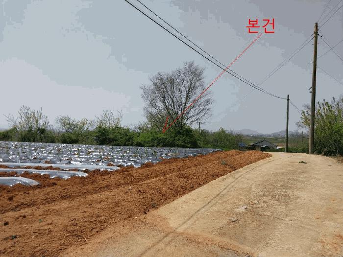 전북특별자치도 부안군 백산면 덕신리 254-1 전 경매 사진 7