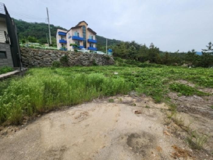 전북특별자치도 부안군 변산면 도청리 612-35 대지 경매 사진 3