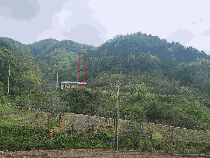 전북특별자치도 정읍시 산외면 정량리 10 답 경매 사진 18