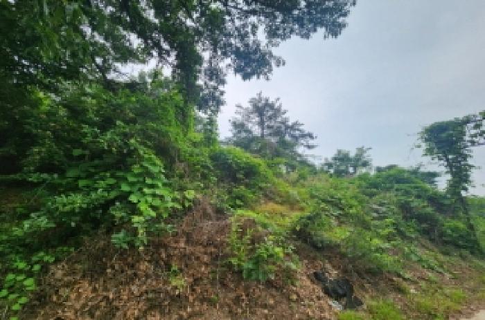 전북특별자치도 정읍시 산외면 정량리 10 답 경매 사진 24