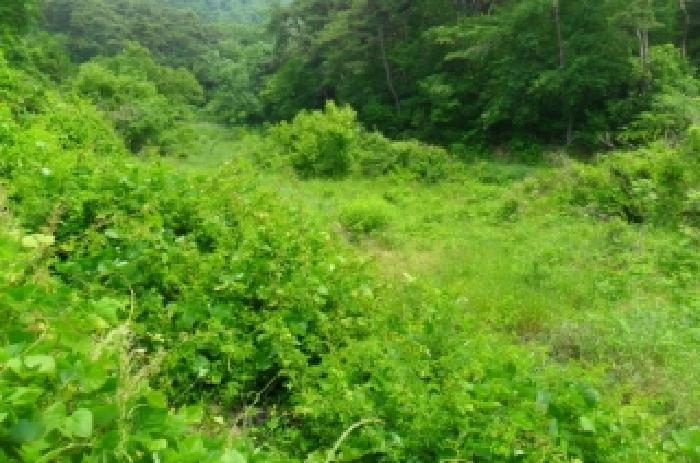 전북특별자치도 정읍시 산외면 정량리 10 답 경매 사진 25