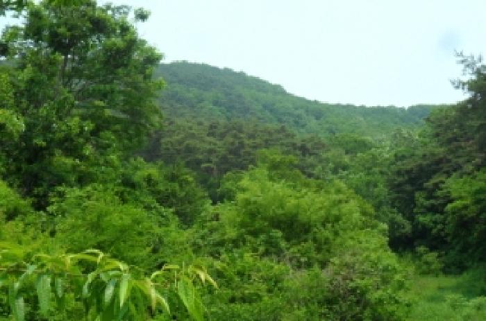 전북특별자치도 정읍시 산외면 정량리 10 답 경매 사진 29