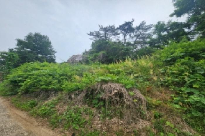 전북특별자치도 정읍시 태인면 태창리 27-1 주택 경매 사진 23