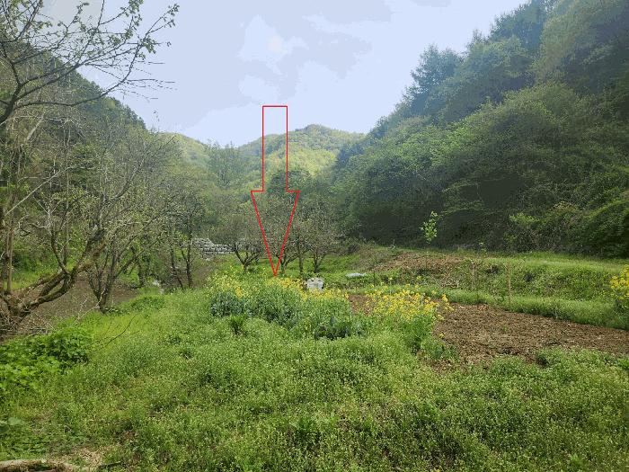 전북특별자치도 정읍시 산외면 정량리 산72 임야 경매 사진 14