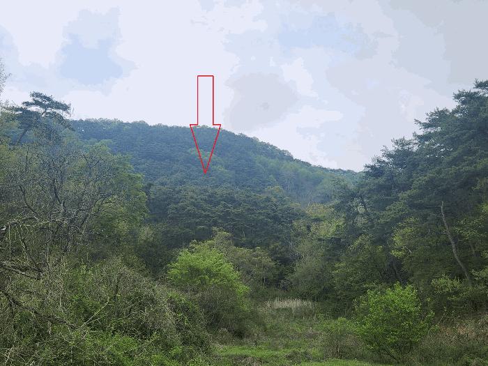전북특별자치도 정읍시 산외면 정량리 산72 임야 경매 사진 20